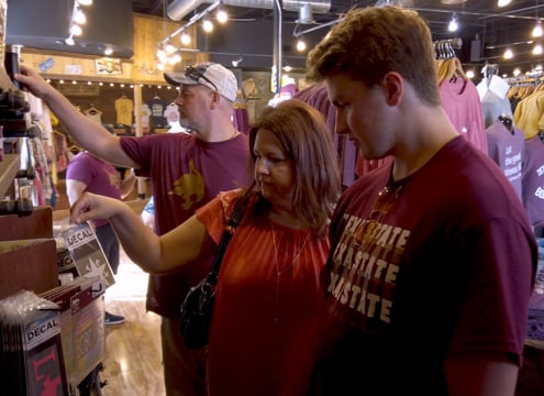 Screening & Brief Intervention on College Campuses